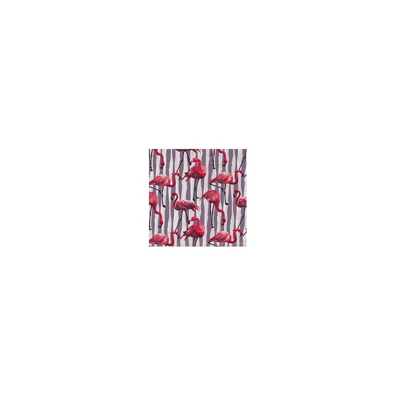 VENEZIANO FSIA CF 100% ALG  145 CMS W0768