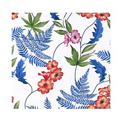 VENEZIANO FSIA CF 100% ALG  145 CMS S0690
