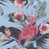 VENEZIANO FSIA CF 100% ALG  145 CMS R0650
