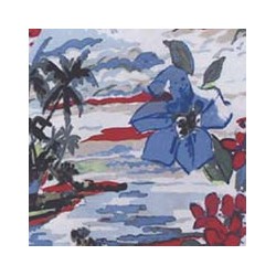 VENEZIANO FSIA CF 100% ALG  145 CMS R0660