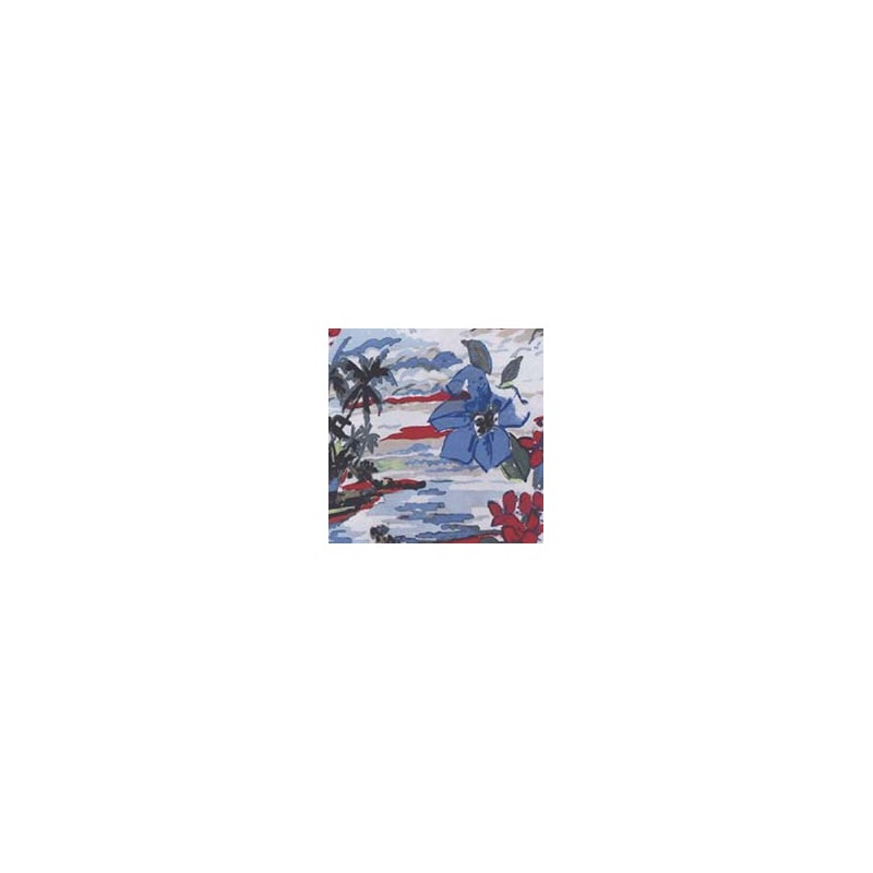 VENEZIANO FSIA CF 100% ALG  145 CMS R0660