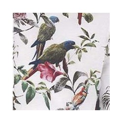 VENEZIANO FSIA CF 100% ALG  145 CMS R0669