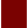 PARIS C/O 50% POL 50% ALG H. EN MEXICO 145 CMS ROJO
