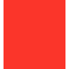 PARIS C/C 50% POL 50% ALG H. EN MEXICO 145 CMS CORAL