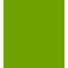 PARIS C/C 50% POL 50% ALG H. EN MEXICO 145 CMS VERDE