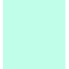 PIQUE GLOW CF 65% POL 35% ALG  135 CMS MENTA