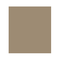 POPELINA MONTESSORO 100% ALG CDO H. EN INDIA ACAB EN MEX 140 CMS KHAKI