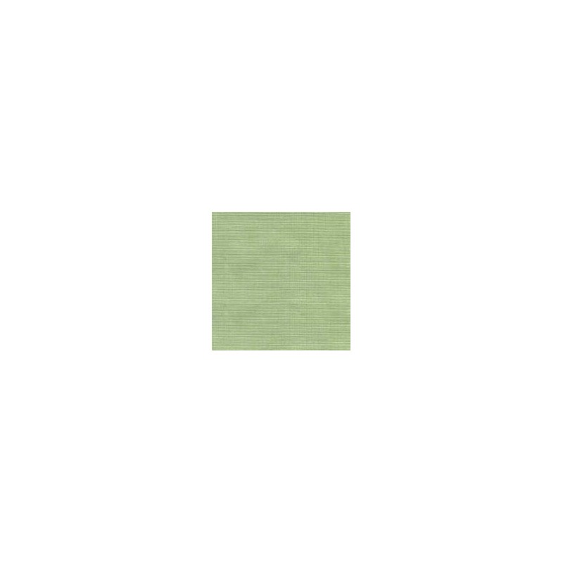 MARQUISE CF C/C 51% POL 49%ALG  135 CMS VERDE