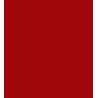 COCO BAY C/O 65% ALG 35% POL H. EN EL SALVADOR 135 CMS C/O ROJO
