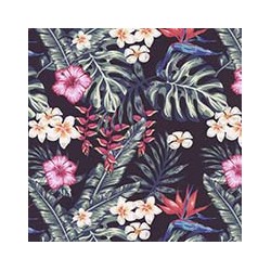 VENEZIANO FSIA CF 100% ALG  145 CMS Y0857
