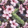 VENEZIANO FSIA CF 100% ALG  145 CMS Y0859