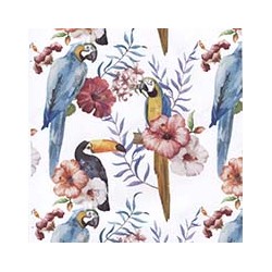 VENEZIANO FSIA CF 100% ALG  145 CMS Y0863