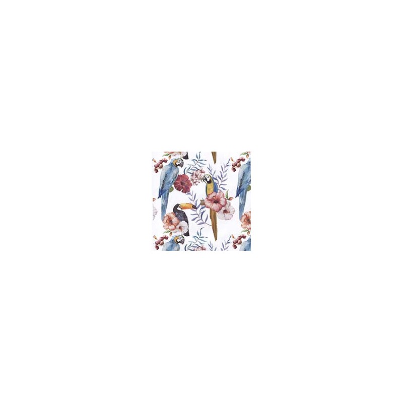 VENEZIANO FSIA CF 100% ALG  145 CMS Y0863