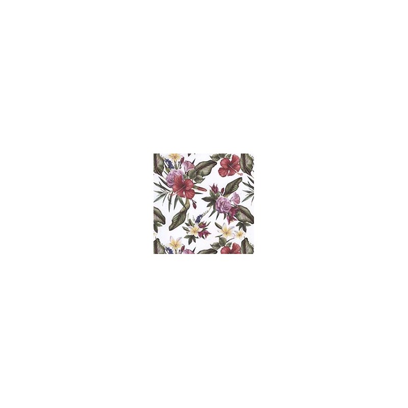 VENEZIANO FSIA CF 100% ALG  145 CMS Y0865