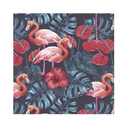 VENEZIANO FSIA CF 100% ALG  145 CMS Y0871