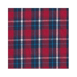 DERBY 65% ALG 35% POL H. EN INDIA 147 CMS A008