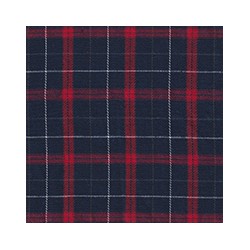 DERBY 65% ALG 35% POL H. EN INDIA 147 CMS A018
