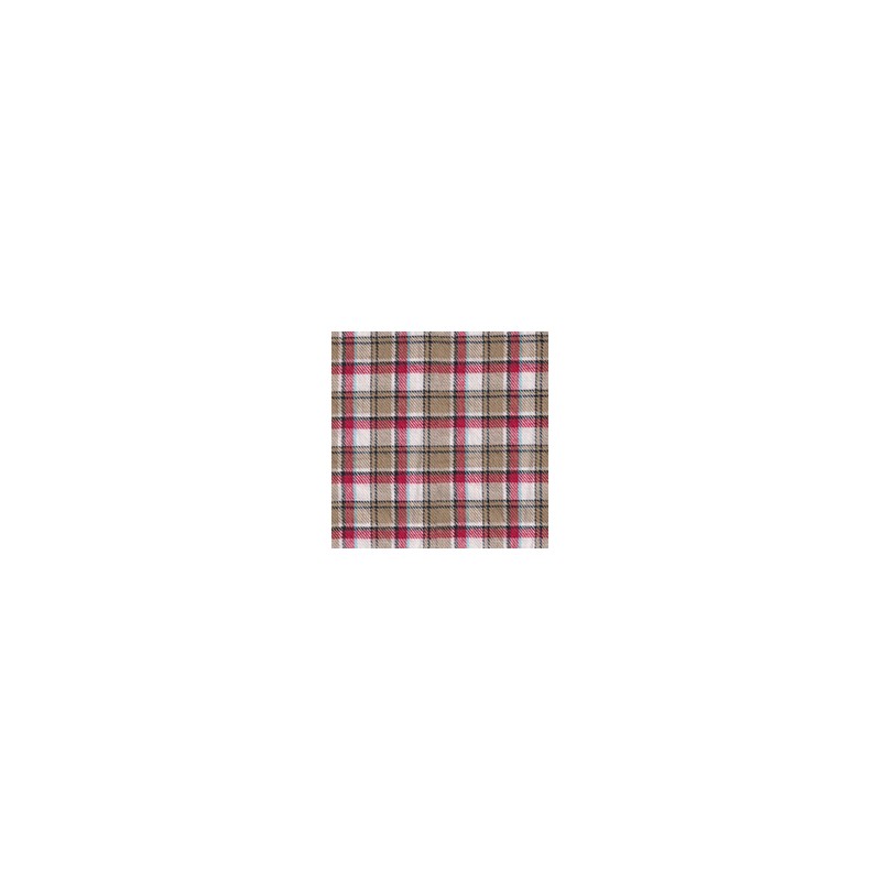 DERBY 65% ALG 35% POL H. EN INDIA 147 CMS A040