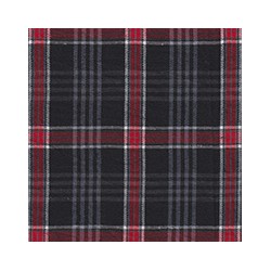 DERBY 65% ALG 35% POL H. EN INDIA 147 CMS B046