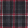 DERBY 65% ALG 35% POL H. EN INDIA 147 CMS B046