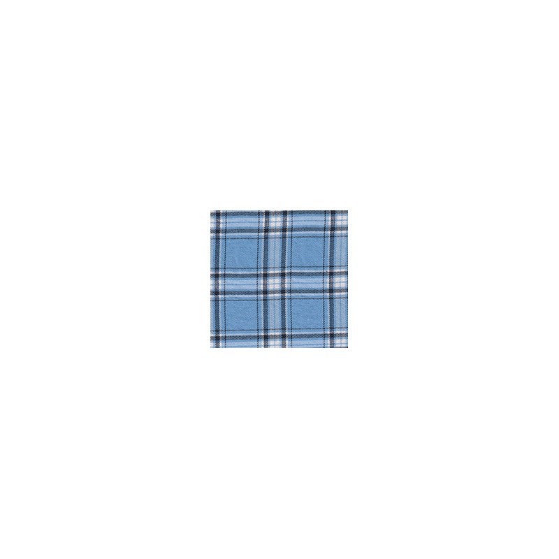 DERBY 65% ALG 35% POL H. EN INDIA 147 CMS B054