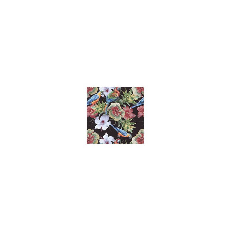 VENEZIANO FSIA CF 100% ALG  145 CMS Z0886