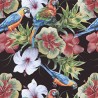 VENEZIANO FSIA CF 100% ALG  145 CMS Z0886