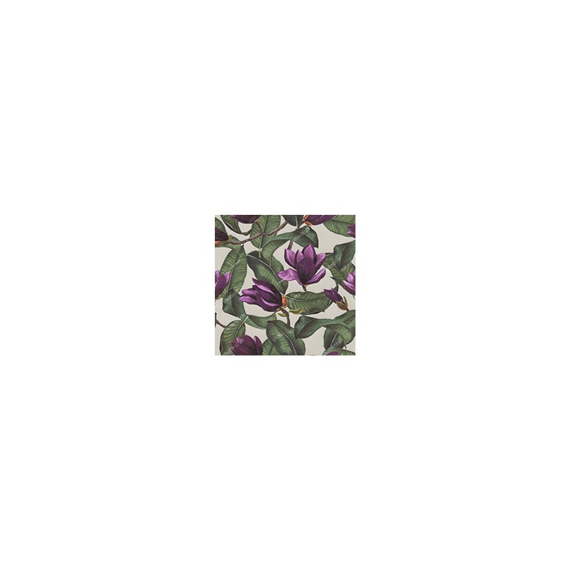 VENEZIANO FSIA CF 100% ALG  145 CMS Z0887