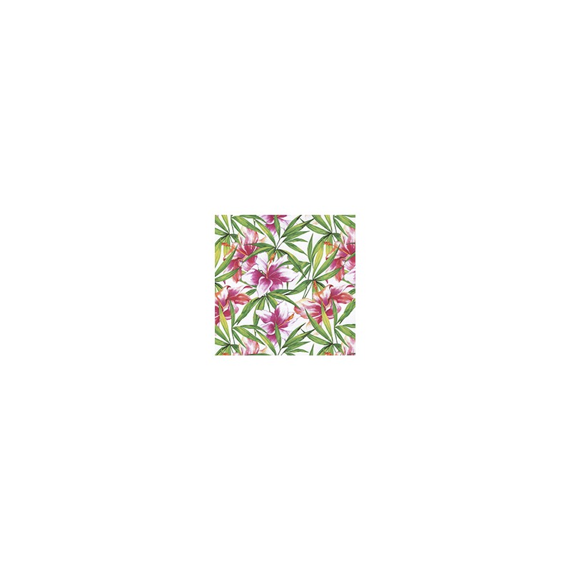 VENEZIANO FSIA CF 100% ALG  145 CMS Z0889