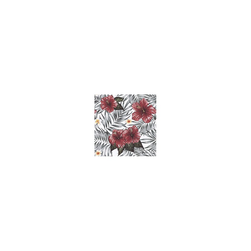 VENEZIANO FSIA CF 100% ALG  145 CMS Z0891