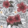 VENEZIANO FSIA CF 100% ALG  145 CMS Z0891