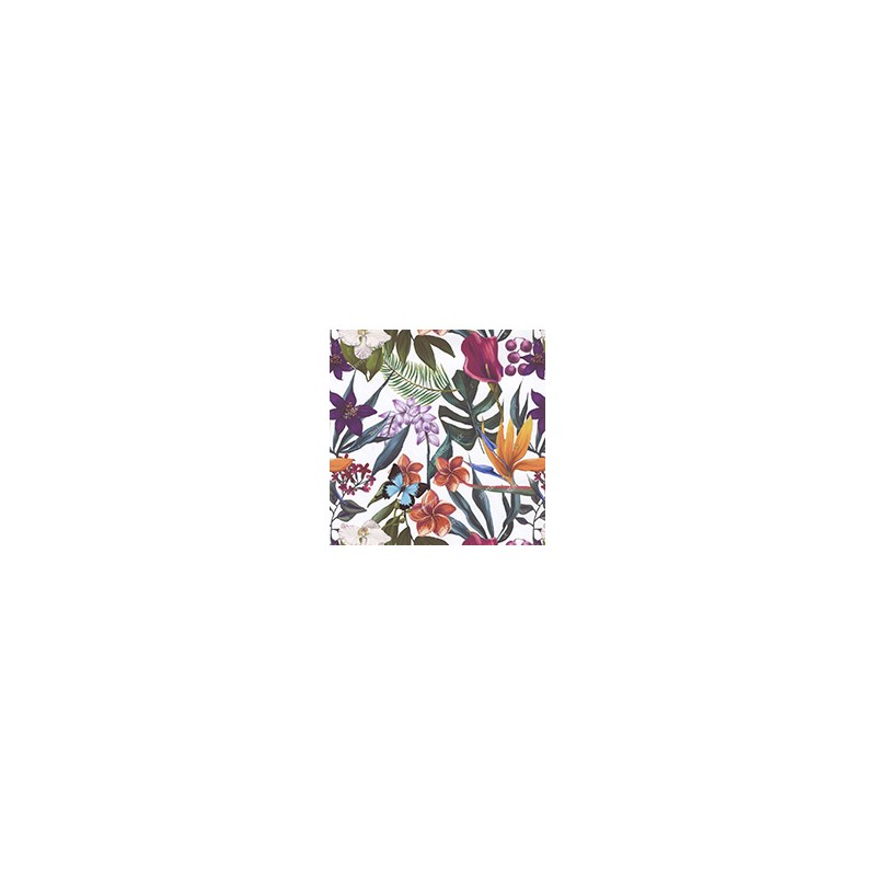 VENEZIANO FSIA CF 100% ALG  145 CMS Z0892
