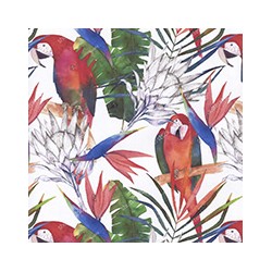 VENEZIANO FSIA CF 100% ALG  145 CMS Z0895