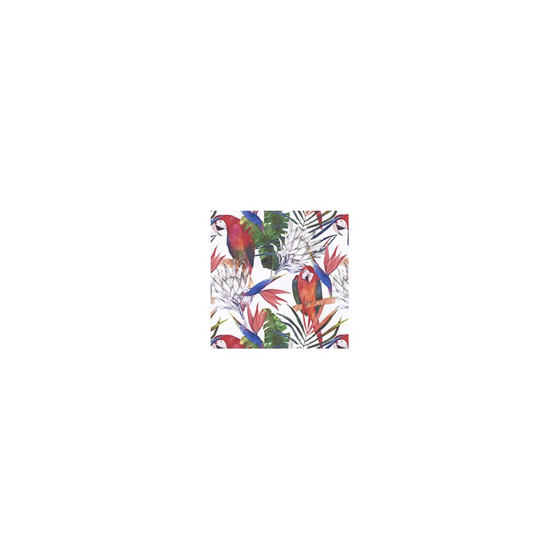 VENEZIANO FSIA CF 100% ALG  145 CMS Z0895