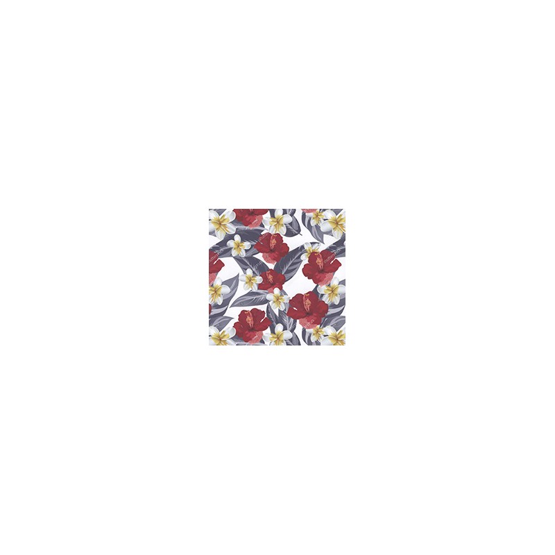 VENEZIANO FSIA CF 100% ALG  145 CMS Z0899