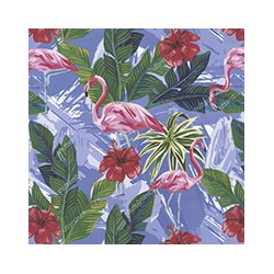 VENEZIANO FSIA CF 100% ALG  145 CMS Z0900