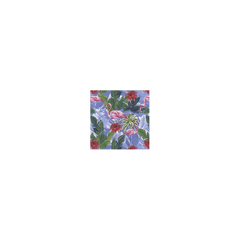 VENEZIANO FSIA CF 100% ALG  145 CMS Z0900