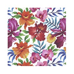 VENEZIANO FSIA CF 100% ALG  145 CMS Z0901