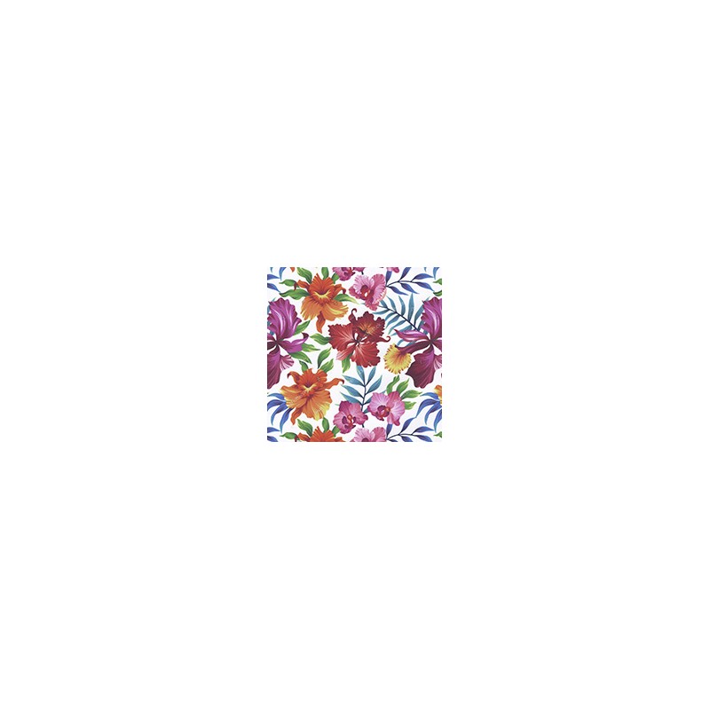 VENEZIANO FSIA CF 100% ALG  145 CMS Z0901