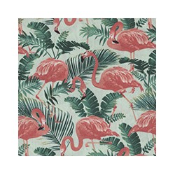 VENEZIANO FSIA CF 100% ALG  145 CMS X0828