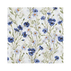 VENEZIANO FSIA CF 100% ALG  145 CMS X0815