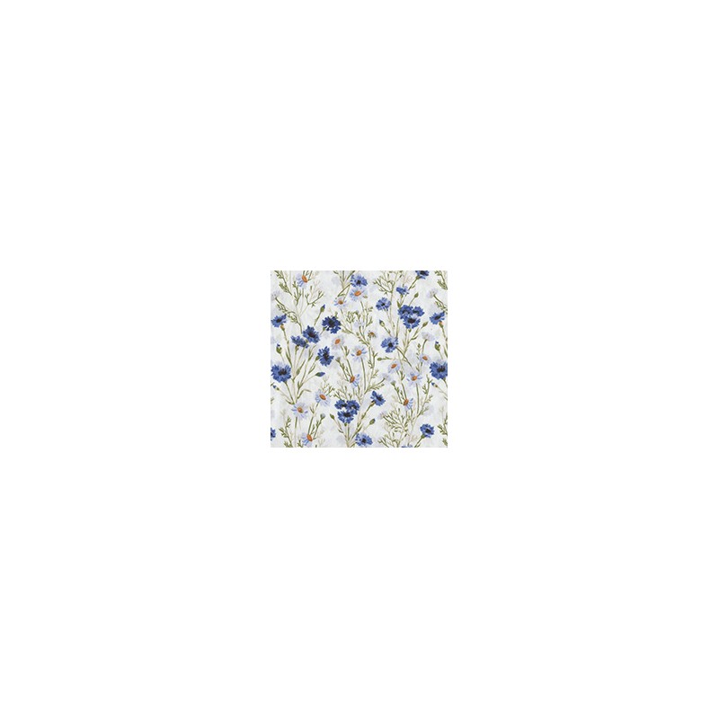 VENEZIANO FSIA CF 100% ALG  145 CMS X0815
